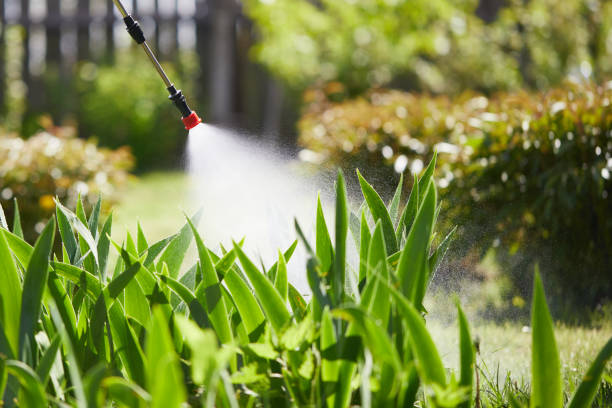 Tamper-Resistant Bait Stations for Rodents in Moreno Valley